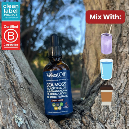 Irish Seamoss Thyroid Hormone Regulator