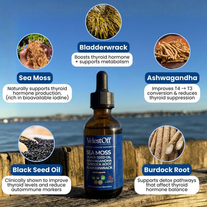 Irish Seamoss Thyroid Hormone Regulator